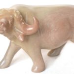 Water Buffallo