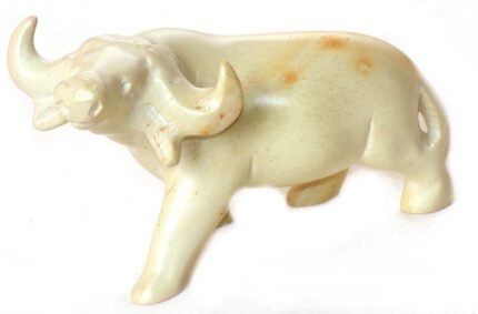 Water Buffalo